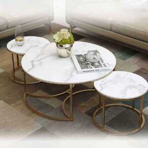 Kawish Coffee Table