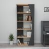Galaxy bookshelf