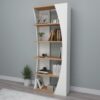 Artist bookshelf