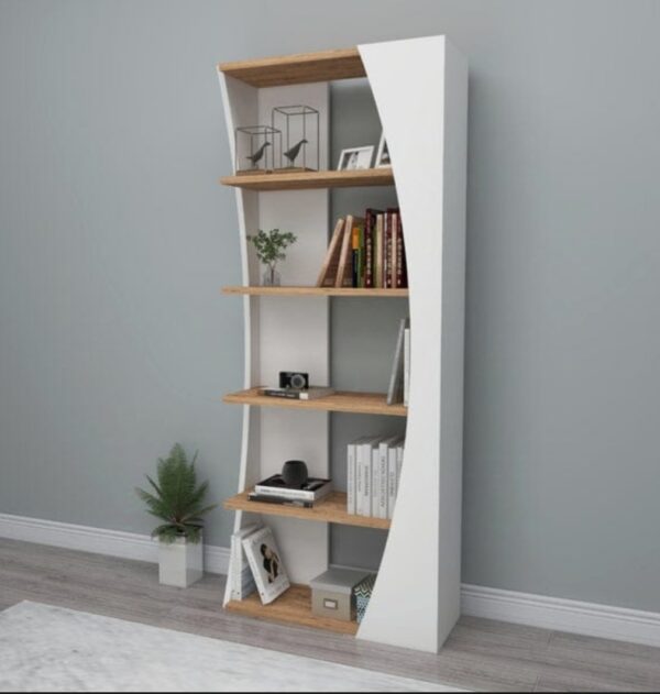 Artist bookshelf