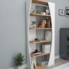 Artist bookshelf