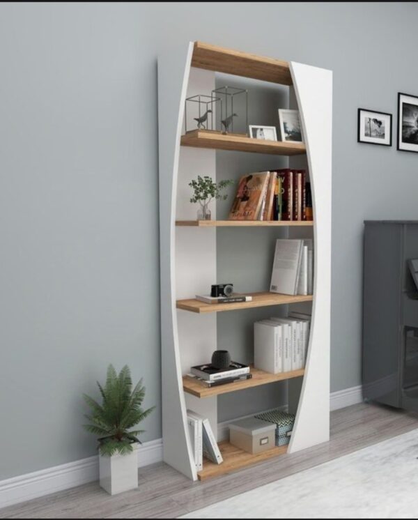 Artist bookshelf